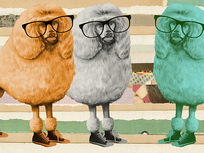Advanced Comedy Camp camp collage comedy cut paper glasses illustration poodle second city sneakers
