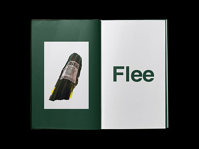 Flee - Art Book 3d 3d art 3d scan art art book book editorial fanzine green photography poster render zine