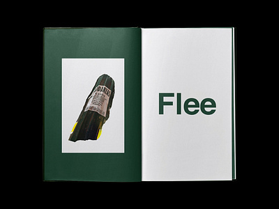 Flee - Art Book