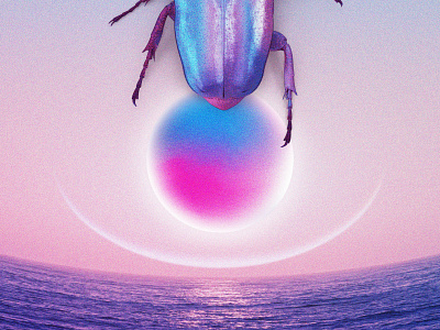 sun bug⁠