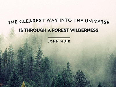 Forest Wilderness quote trees type