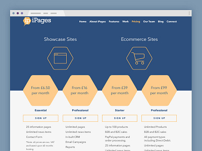 Software Platform Pricing Page blue flat pricing page simple