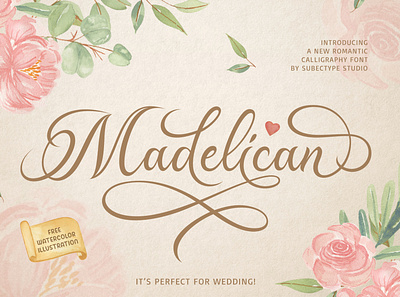Madelican Calligraphy Font calligraphy calligraphy font design handlettering handwritten font illustration logo modern calligraphy script signature traditional calligraphy watercolor illustration wedding wedding font