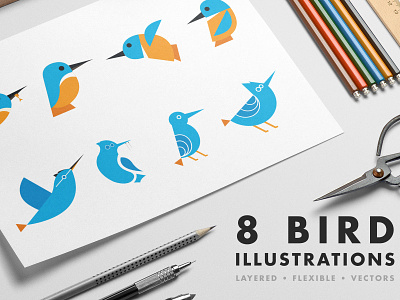8 Bird illustrations