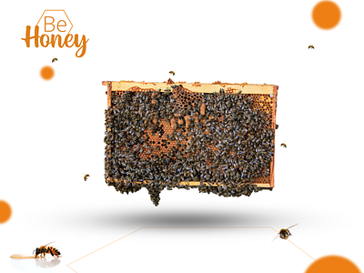 Be Honey - Poster and Identity Design