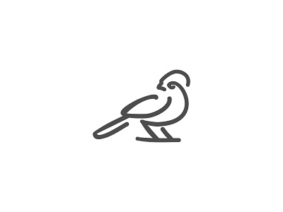 Tauraco ruspolii bird bird line bird logo design dribbble icon line logo logo sale logotype sale tauraco vector