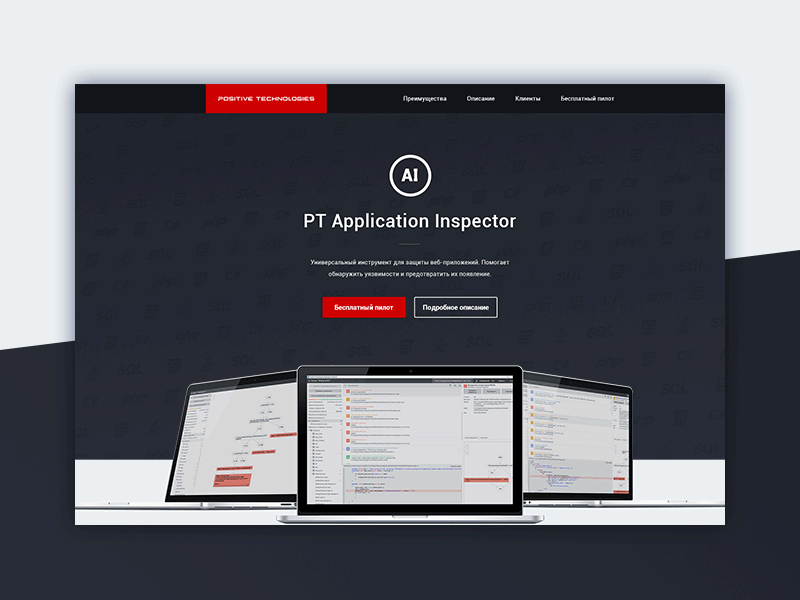 PT Application Inspector landing page