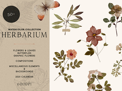 Herbarium branding cottagecore design florals illustration logo package package design