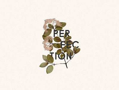 Perfection branding cottagecore florals illustration logo minimal package package design typography