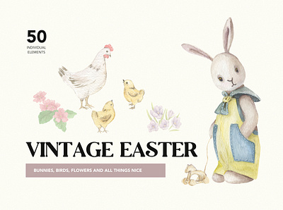 Vintage Easter branding bunny chicken cottagecore easter florals illustration package package design watercolor