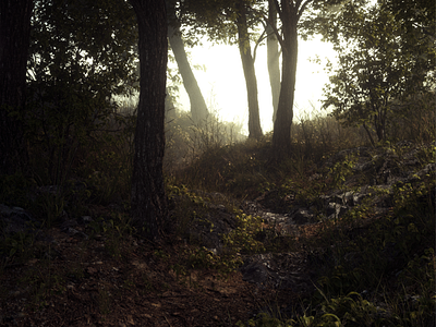 Forest - for rest 3d 3d art c4d cinema 4d cinema4d forest maxon nature octane octane render octanerender render rest