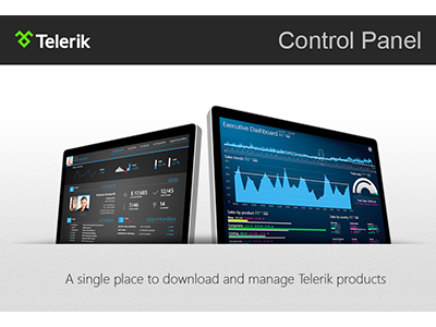 Control Panel app control installer panel windows wpf