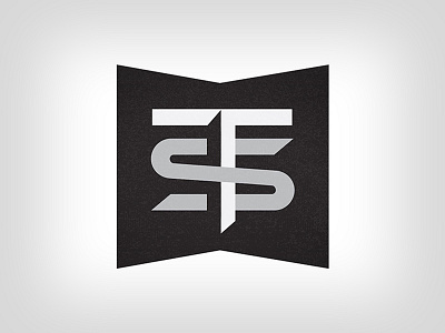 TS - Logo Design branding identity logo design