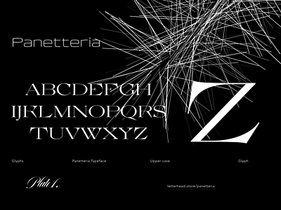 Panetteria Typeface font processing type typeface typography