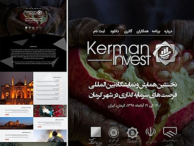 Kerman Invest Website design drupal elements logo ui ux vector web