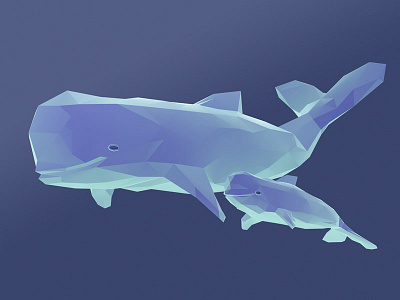 Pilot whale and baby V02 – Model 41/366 3d 3d illustration animals cg cgi illustration item low poly modeling ocean rendering whale