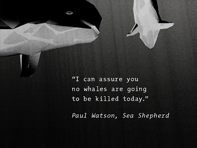 "Rue", Quote from Paul Watson 3d 3d illustration animals cg cgi illustration low poly modeling ocean rendering underwater whaler
