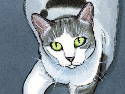 Gracie acrylic acrylicink cat illustration painting pet petportrait