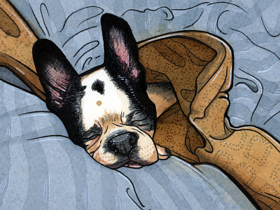Lambeau acrylic acrylicink boston terrier dog gift illustration lambeau painting pet petportrait