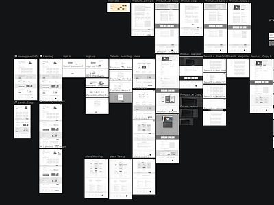 Wireframing jungle