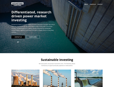 Dichotomy Capital Project landing page ui ux web website design