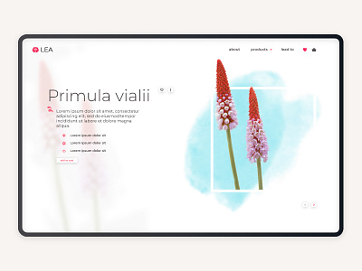 Flower Shop - LEA_B design flowers minimal ui ui design ux web webdesign website