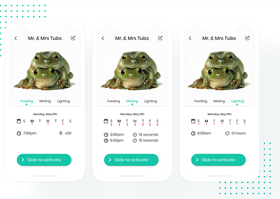 UI Challenge: Pet Timer App branding design mobile ui ui uichallange ux