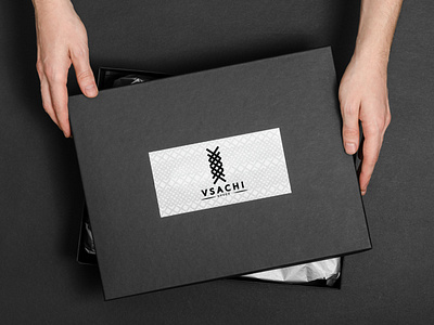 VSACHI logo