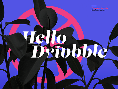 Hello, Dribbble - Debut debut dribbble graphic hello organic plant