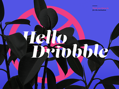 Hello, Dribbble - Debut