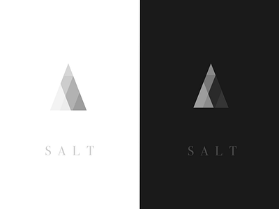 SALT Logo app black branding food ios logo mobile recipe ui ux