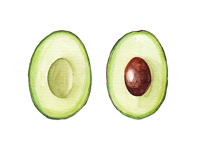 Avocado - Day #009