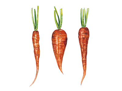 Carrots - Day #014