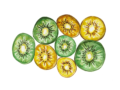 Kiwifruit - Day #024 fruit illustration kiwi kiwifruit watercolor watercolour