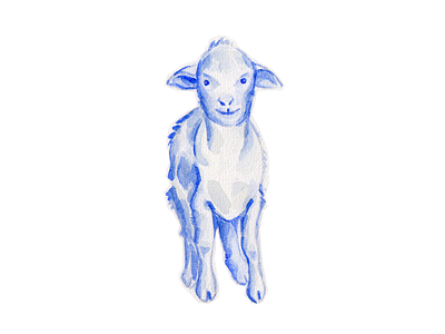 Baby Sheep - Day #025 animal illustration lamb sheep watercolor