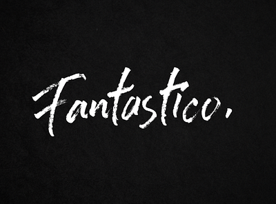 FANTASTICO branding design hand drawn handmade handwriting illustration letterpress logos typography vector