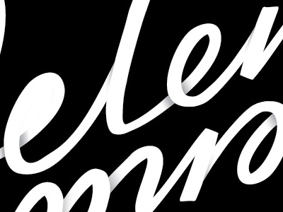 Selena calligraphy creative logo