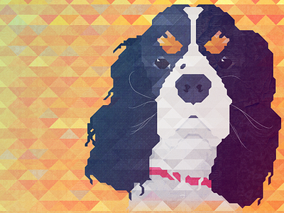 Cavalier dog illustration