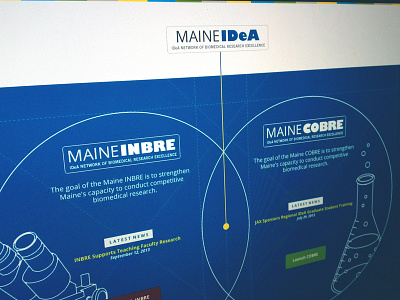 Maine IDeA Landing Page flask flat interface line microscope photoshop science venn web web design wordpress