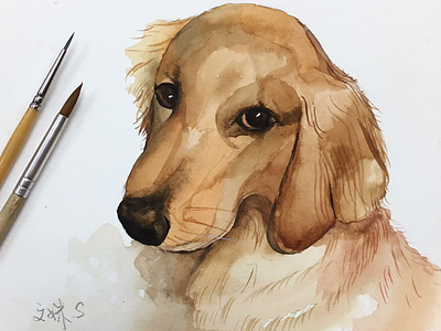 Shy~ dog drawing watercolor