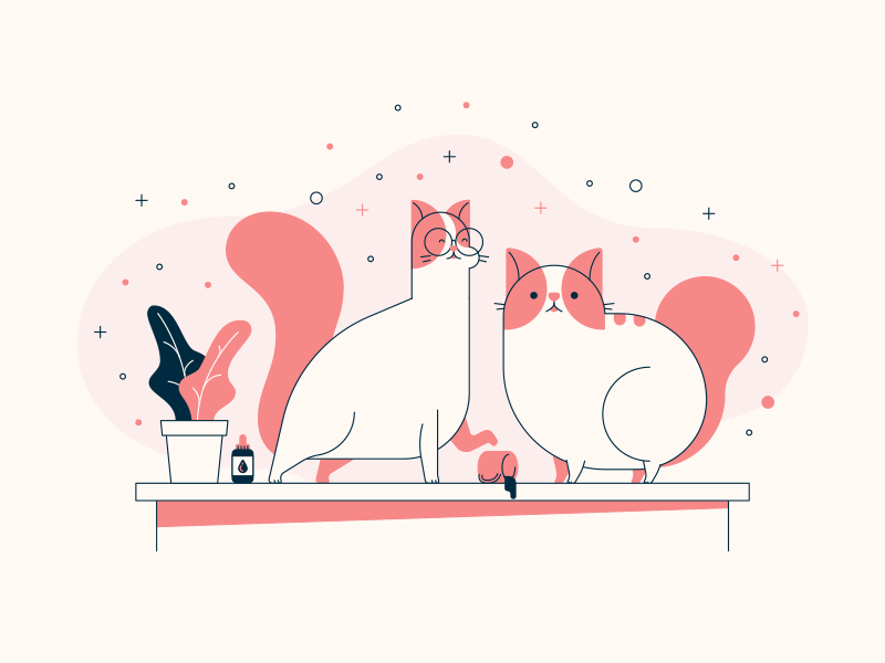 Fat Feline Friday cats cbd oil design illustration pets vector