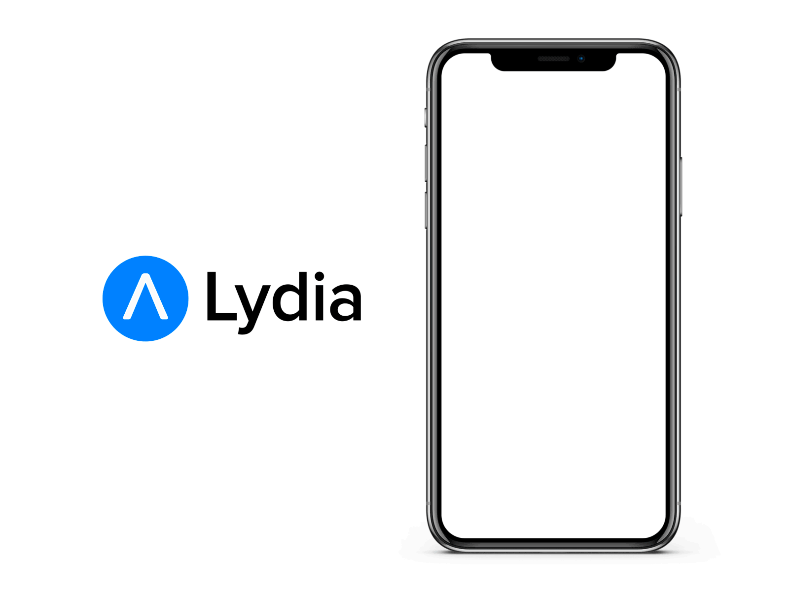 Lydia App - Loading screen