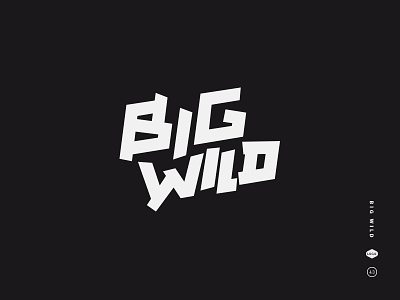 Big Wild