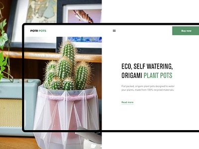 Landing page for Kickstarter project PotrPots cactus design landingpage pot ui ux