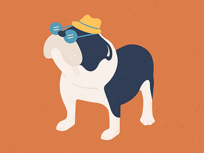 Cool Bulldog bulldog dog illustration