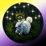 My Little Bunny ✨🐰🌙