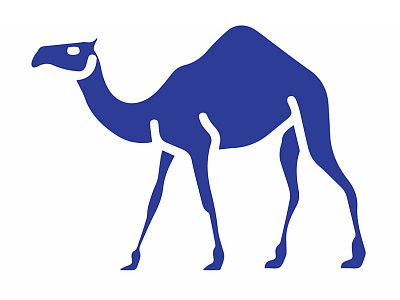 Camel illustration illustration