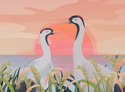 Return of the Cranes to Hamanoura 2d animation 2d illustration character design crane field japan lake mascot motion graphic rice sun sunrise sunset