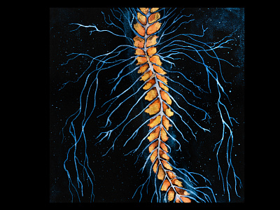 EVERYTHING'S CONNECTED — Nervous System and Spinal cord abstract acrylic paint brain concept art human body illustration illustration art macrocosm medical microcosm painting spinal cord spinal fluid universe