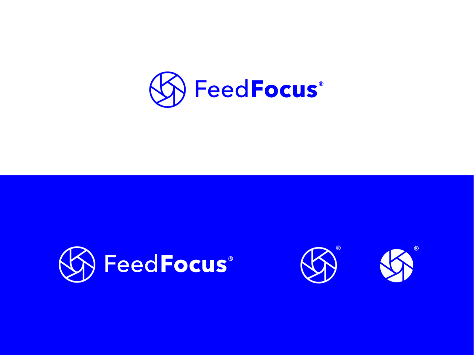 Logo Concept by Eszter Ny. on Dribbble